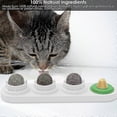 thumbnail image 2 of Catnip Wall Ball Toys for Cats Snack Edible Balls Refillable Dental Treats Care Teeth Edible Licking Toys Mint Wall Cat Treats, 2 of 5
