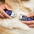 thumbnail image 2 of Disney Pet Collar, Dog Collar Metal Seatbelt Buckle, Maleficent Poses, 15 to 24 Inches 1.0 Inch Wide, 2 of 9