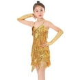 thumbnail image 2 of XXWXYD Girls Fringe Sequin Dance Dress Latin Dress with Choker Gloves Spaghetti Strap Tassel Performance Outfit Stretchy Stagewear, 2 of 9