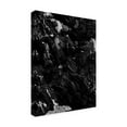 thumbnail image 2 of Trademark Fine Art 'Black Rock Fabrikken' Canvas Art by Design Fabrikken, 2 of 3