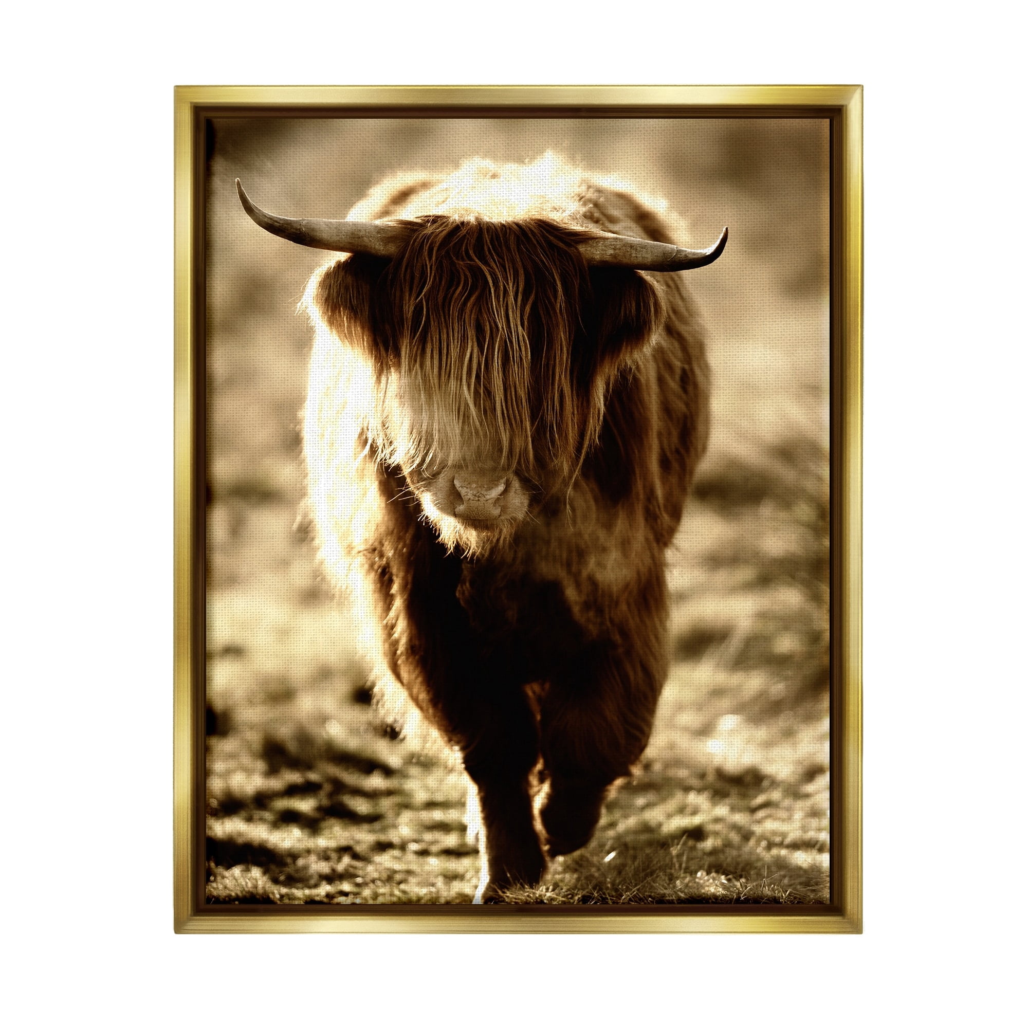 Stupell Industries Sunlit Highland Longhorn Cattle Wandering Rural Countryside Photograph Metallic Gold Floating Framed Canvas Print Wall Art, Design by James Dobson