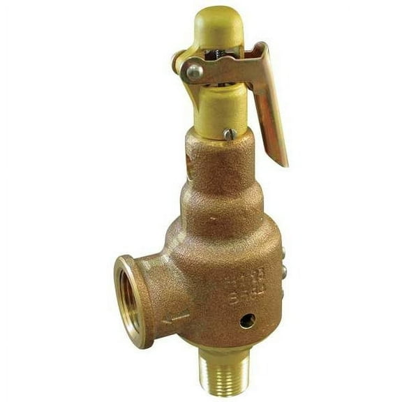 Kunkle Valve Safety Relief Valve,1/2 x 3/4 In,150 psi 6010DCE01AAM0150