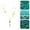 Gray, variant on Pre-Rigged Double Hook Fishing Rig with Hooks - Tangle-Free Bottom & Float Rig for Sea Fishing & Large Fish, with Sinker & Floating Beads,Gold,Size 10