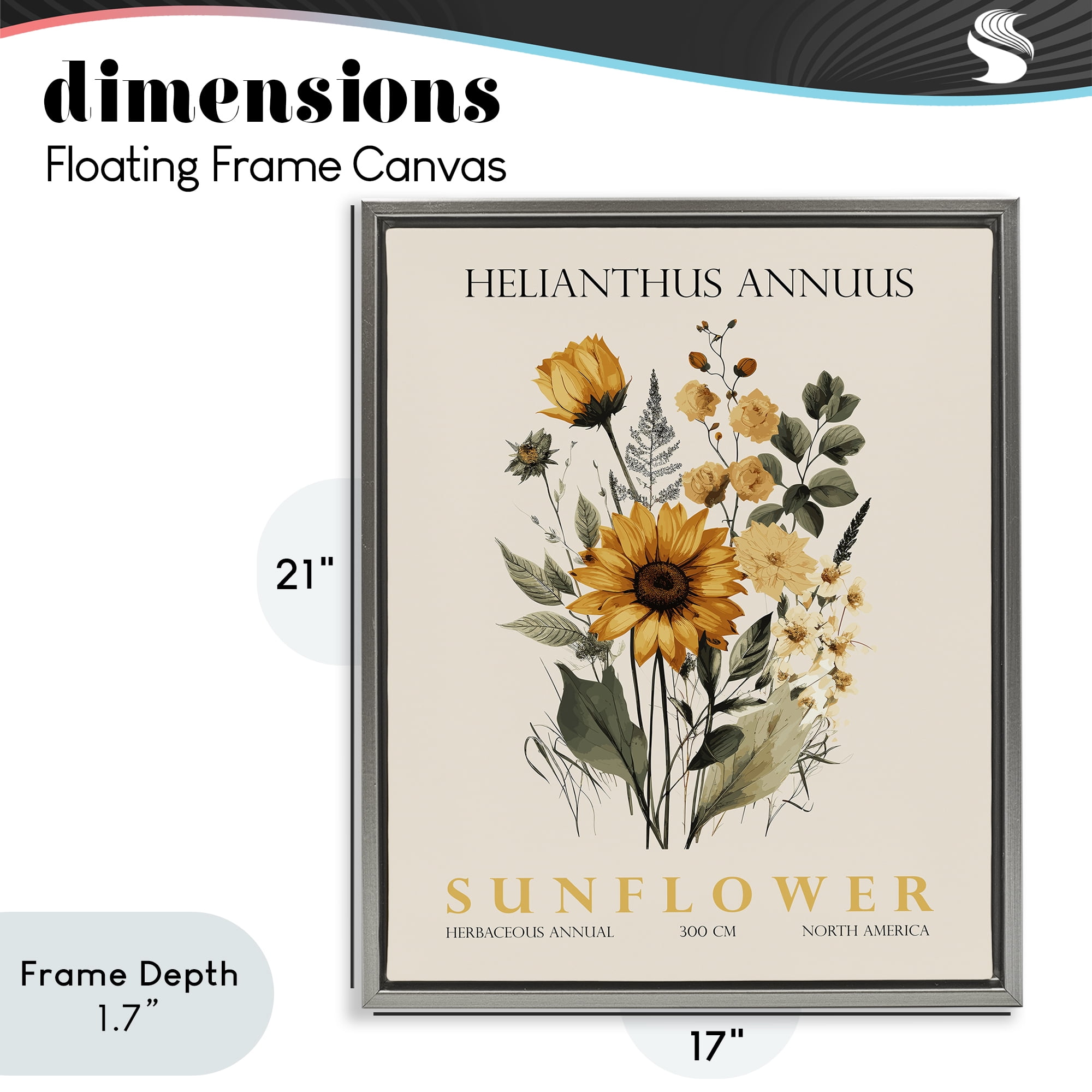 Stupell Industries Natural Sunflower Bundle Gray Framed Floater Canvas Wall Art, design by Christopher Giampietro