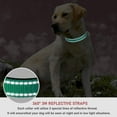 thumbnail image 4 of YSTINNG Reflective Dog Collar with Buckle Adjustable Safety Nylon Collars for Small Medium Large Dogs, Green XL YD72-124, 4 of 7