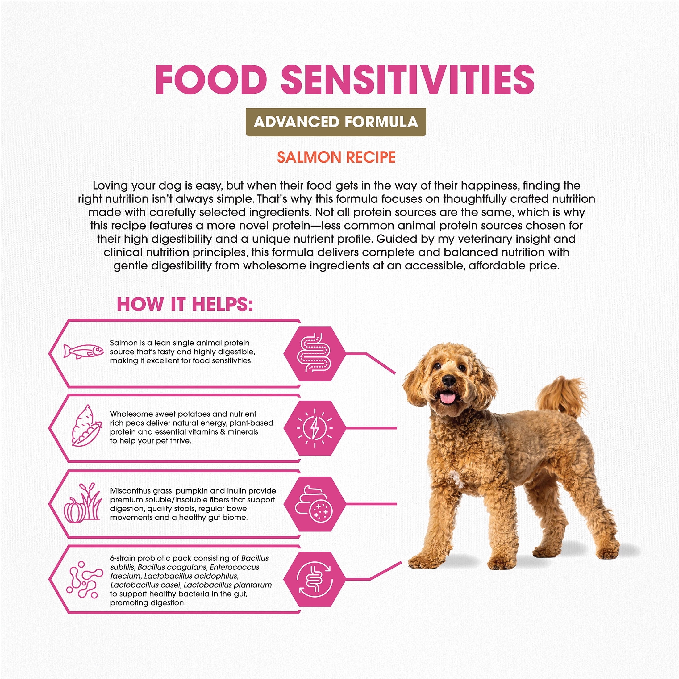 Dr. Pol® Clinical Food Sensitivities Advanced Novel Protein Salmon Recipe – Hypoallergenic Adult Dog Food, 7 lb Bag