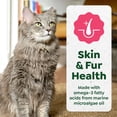 thumbnail image 5 of Greenies Feline Smart Purees Salmon Skin & Fur Health Lickable Cat Treats 0.49 Oz Tubes (20 Count), 5 of 6