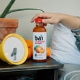 Bai Flavored Water, Costa Rica Clementine, Antioxidant Infused Drinks