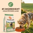 thumbnail image 3 of Canidae Heartland Countryside Lamb & Ancient Grains Dog Food, 4 lb. Bag, 3 of 10