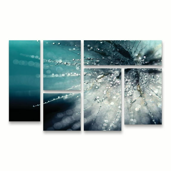 Trademark Fine Art 'Morning Sonata' Canvas Art by Beata Czyzowska Young