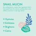thumbnail image 4 of Aceite de Oliva Curlshow Nourish & Grow* Aceite para cabello y cuero cabelludo infundido con aceite de aguacate y menta para fuerza y ??longitud* (2.0 oz), 4 of 5