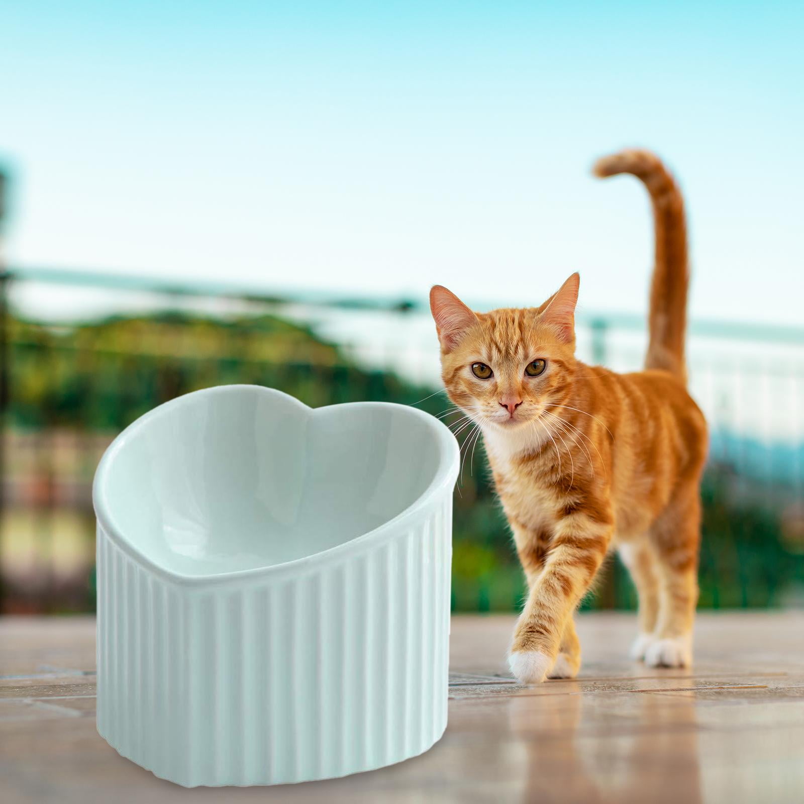 Ceramic Tilted Elevated Cat Bowl Heart Shape Porcelain Easily Wash Food Green