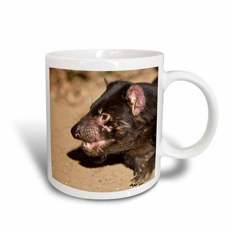 3dRose Australia, Tasmanian Devil wildlife-AU01 RJA0023 - Rebecca Jackrel, Ceramic Mug, 15-ounce