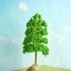 thumbnail image 5 of Kearding 10 piezas de árboles artificiales en miniatura, manualidades DIY, plantas falsas, decoraciones de paisaje de jardinería, accesorios Decoración del hogar, 5 of 6