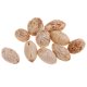 thumbnail image 5 of 12 Piezas Madera Mango Flores Secas Navideños Decoración de Boda Sunnimix Flores secas naturales, 5 of 7