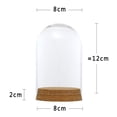 thumbnail image 2 of Display Bell Jar Cloche with Wooden Base Decorative Crafts 8x12cm, 2 of 8