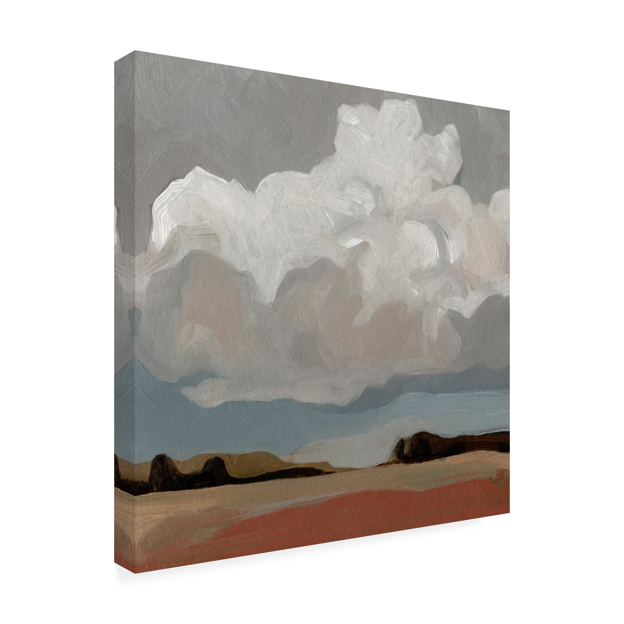 Trademark Fine Art 'Cloud Formation I' Canvas Art by Emma Scarvey