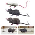 thumbnail image 3 of 3 ratas de juguete falsas, ideales para bromas y fiestas de Halloween., 3 of 8