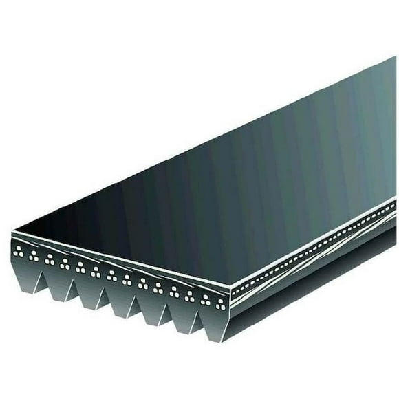 Infiniti G37 Serpentine Belt