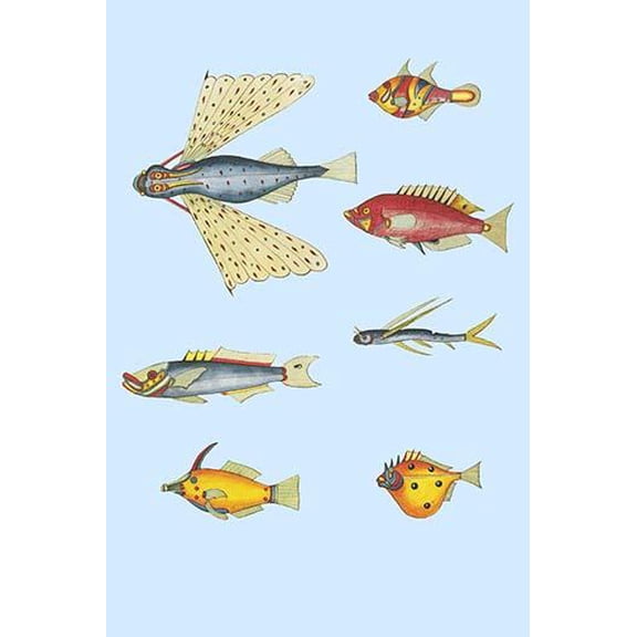 Rarest Curiosities of the Fish of the Indies (Plate 30)-Fine Art Canvas Print (20" x 30")