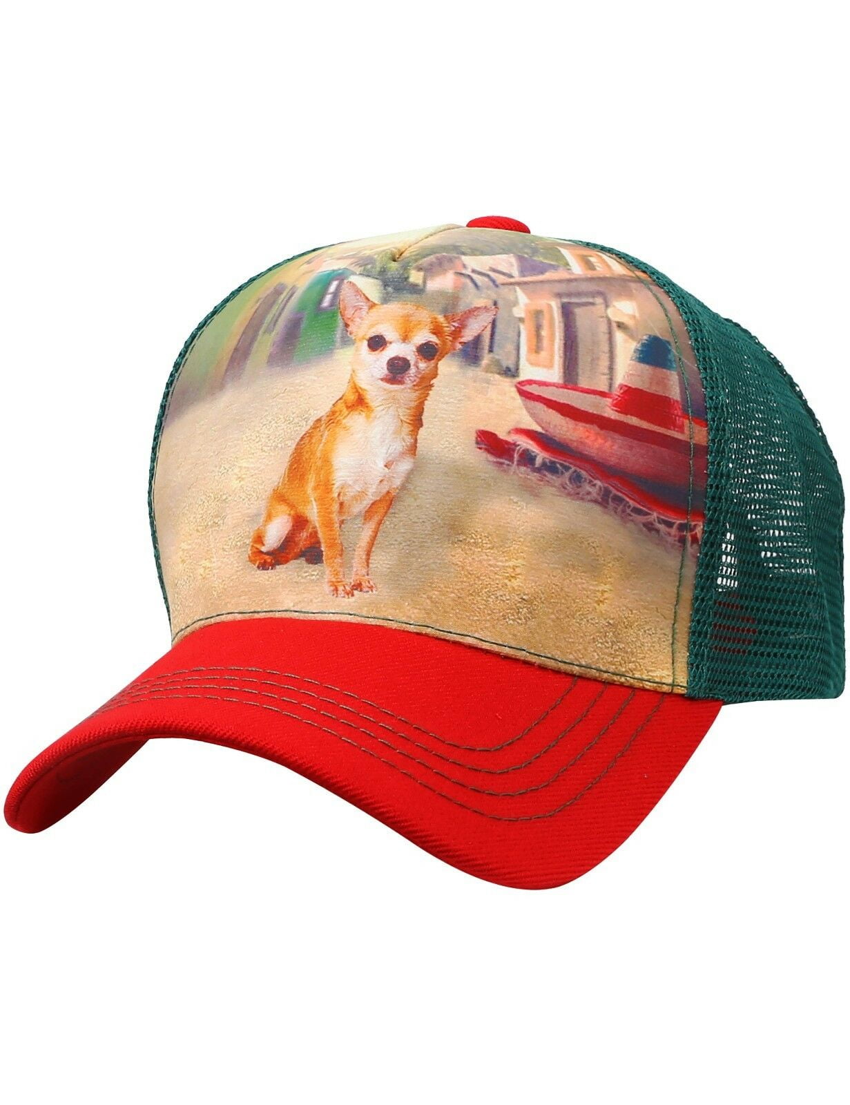 chihuahua baseball hat