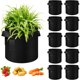 thumbnail image 1 of Bolsas de Cultivo, Paquete de 10, Macetas de Tela No Tejida Gruesa con Asas, Bolsas de Cultivo para Vegetales/Flores/Plantas/Frutas, Negro, 1 of 4