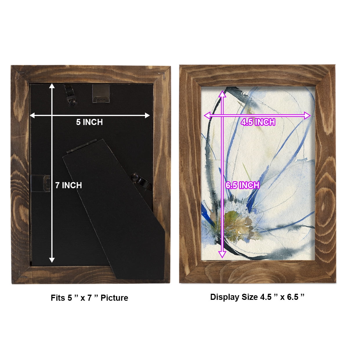 Cobalt & Paynes Petals II - Framed Print w/glass - Walnut