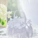 thumbnail image 1 of Cesta de Flores de Boda Almacenamiento de Dulces Símbolo Dulce Decoración , Bowknot Opción 6 BLESIY Cesta floral de boda, 1 of 8