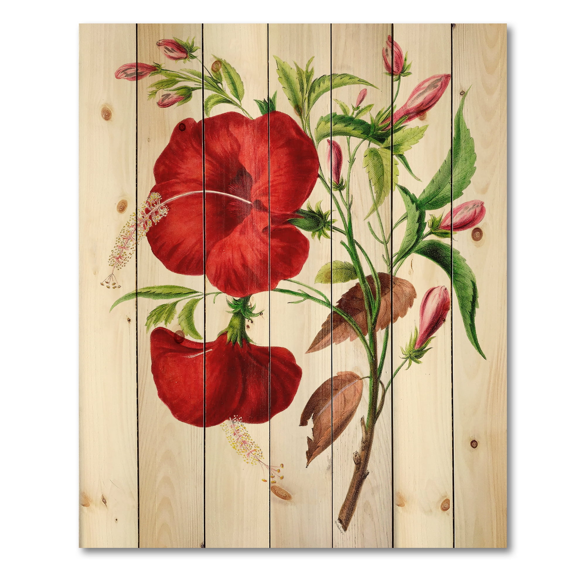 Designart 'Ancient American Flora I' Traditional Print on Natural Pine Wood