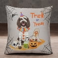 thumbnail image 2 of Trick or Treat Boykin Spaniel Funny Mummy Cosplay Pumpkin Candy Basket Pillowcase Double Sided Dog Lover Pillow Case Covers - 12016, 2 of 3