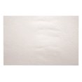 thumbnail image 1 of Burmax Dl Pro Protective Nail Towels With Plastic Backing, 50 Count, 1 of 1