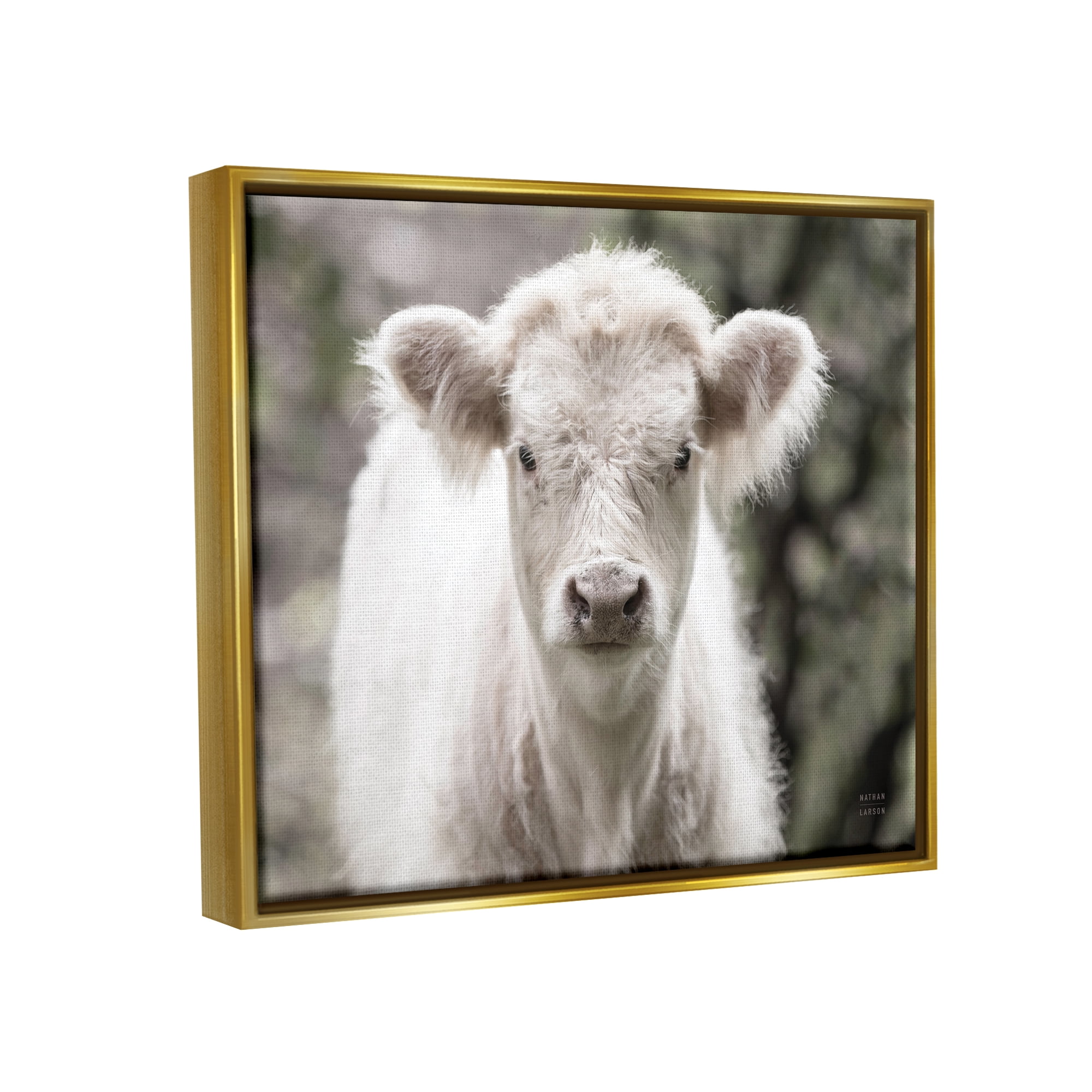 Stupell Industries White Cow Calf Portrait Animals & Insects Photography Gold Floater Framed Art Print Wall Art, 21 x 17