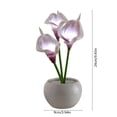thumbnail image 3 of Artificial Calla Lily LED Night Lamp with White Vase,Simulation Flower Bedside Table Lamp for Bedroom,Living Room,Home Desktop Decor, 3 of 6