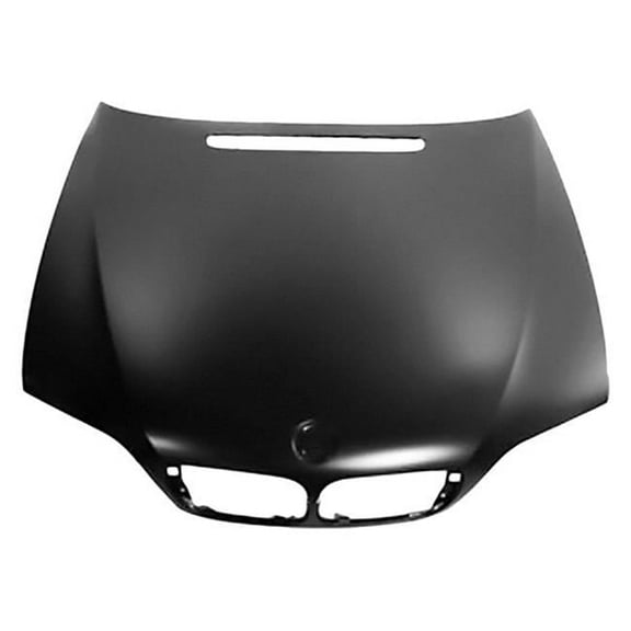Sherman Parts SHE0054B-28-2 Hood for 2002-2005 BMW 3 Series E46 & Sedan & Wagon