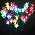 thumbnail image 5 of Luces decorativas florales para jardín solar al aire libre, luces decorativas de paisaje de paso (paquete de 2) MFZFUKR CPB-US-DYP998-2, 5 of 5