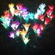 thumbnail image 5 of Luces decorativas florales para jardín solar al aire libre, luces decorativas de paisaje de paso (paquete de 2) Adepaton CPB-US-DYP998-2, 5 of 5