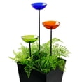 thumbnail image 7 of Couronne COURM38720000 Poppy Stake Feeder Clear, 7 of 7