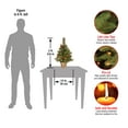 thumbnail image 5 of National Tree Company 2 ft. Pre-Lit Artificial Crestwood® Spruce Christmas Tabletop Tree, Green, Red Berries, Pinecones, Sliver Glitter Bristle, Clear Lights, 5 of 5