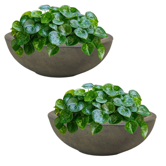 Sunnydaze Percival 20.75" x 20.75" x 11.5" Round Sable Polyresin Outdoor Planter Pot 2-Count