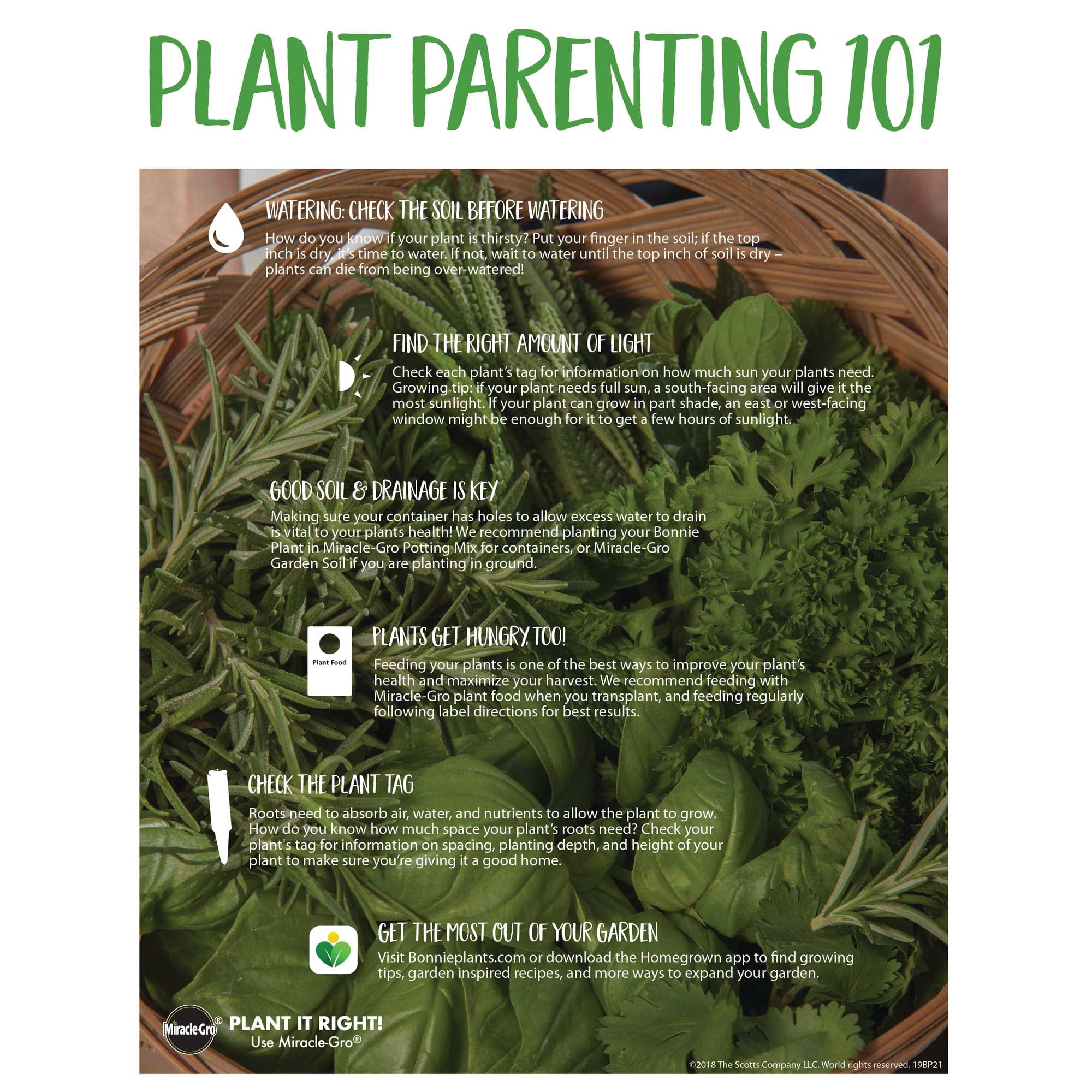 Bonnie Plants Roma Classic Paste Tomato 2.32 qt.