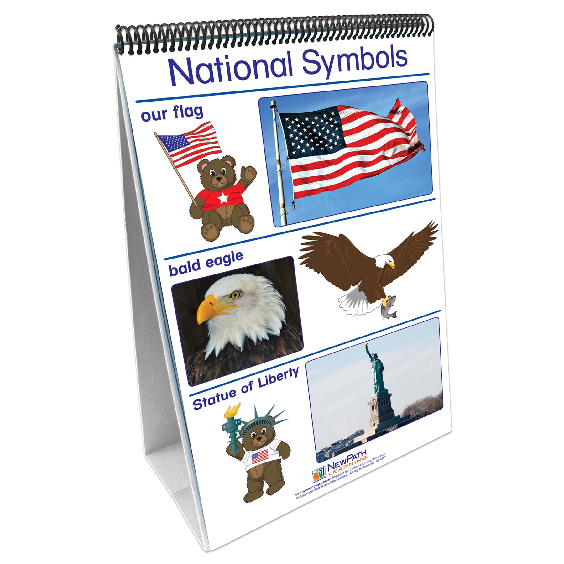 NewPath Learning Social Studies Readiness Flip Chart, Set of All 5