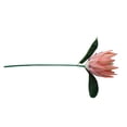 thumbnail image 3 of Tela de seda Flor falsa Oficina en casa Decoración floral Fiesta Ceremonia Flor artificial Fotografía Prop, Rosa Jumpingount HA6650-03B, 3 of 6