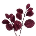 thumbnail image 2 of Vickerman 24" Burgundy Artificial Dogwood Glitter Wreath., 2 of 5