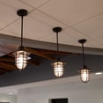 thumbnail image 6 of Bronze Stevenson 1-Light Indoor Dimmable Pendant with Clear Seedy Glass and Metal Wire Shade, 6 of 9