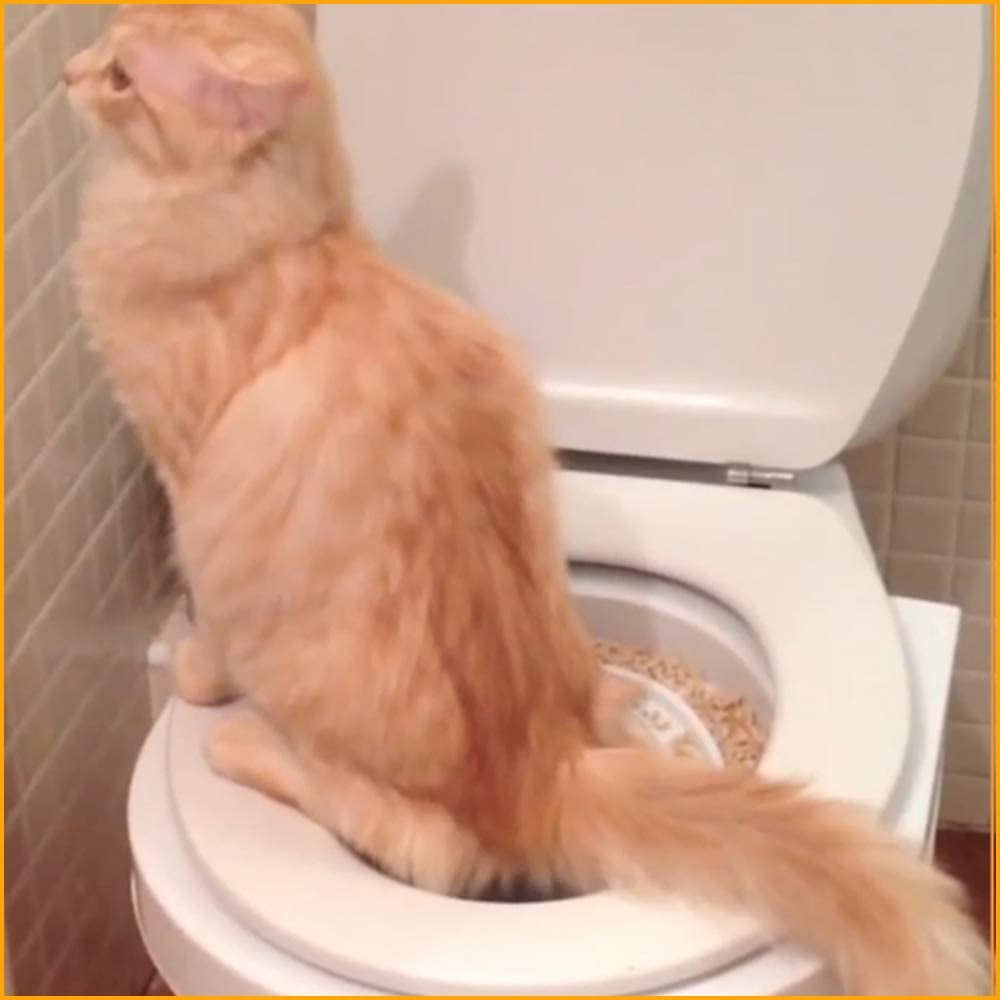 Système D'entraînement Aux Toilettes Pour Chat - Kit D'entraînement Pour Animaux De Compagnie Avec Siège De Toilette Pour Chat - Siège De Toilette Et Litière Pour Chat