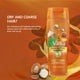 thumbnail image 4 of Diademas de spa para lavar la cara, juego de muñequeras, esponja, maquillaje, cuidado de la piel, diadema, toallas de muñeca, toalla de rizo suave, diadema para mujeres, gorros hinchados, antideslizan, 4 of 5