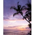 thumbnail image 2 of Tropical Sunset Wall Mural by Wallmonkeys Peel and Stick Graphic (24 in H x 19 in W) WM128873, 2 of 4