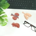thumbnail image 2 of 1 Set of Professional Human Internal Organs Models School Teaching Aids, 2 of 9