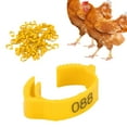 thumbnail image 4 of Poultry Leg Bands, Safe And Non- 10pcs/set Chicken Foot Rings  For Poultry For Outdoors For Daily For Home Yellow, 4 of 8
