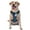 With Accessories, variant on Naloa Alpaca Astronaut in Space Pet Harness Vest with Traction Rope, Adjustable No-Choke Dog Vest for Outdoor, Walking - Medium